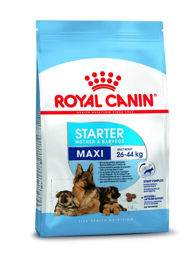 Royal Canin Maxi Starter 4Kg