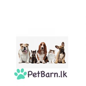 petbarn malaseb