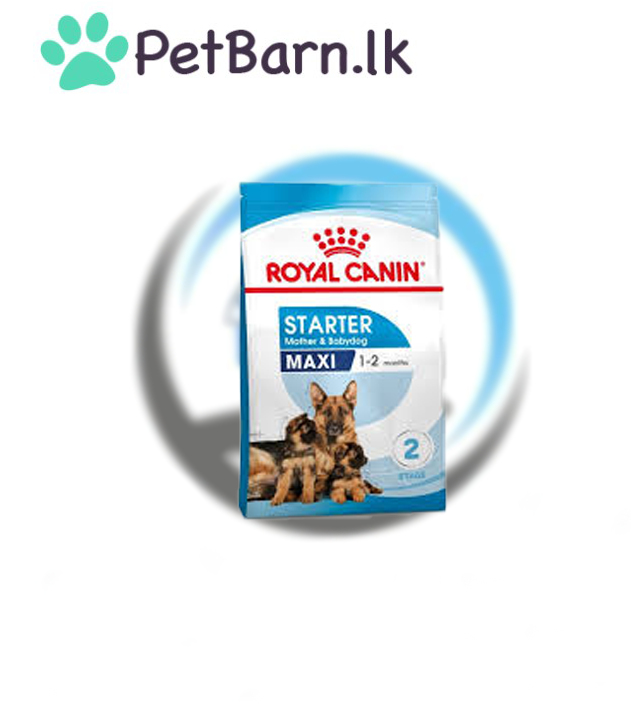 Royal Canin Maxi Starter 15Kg