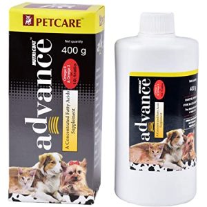 places to order dog food online