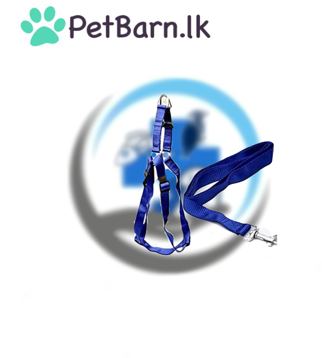 Harness (L)