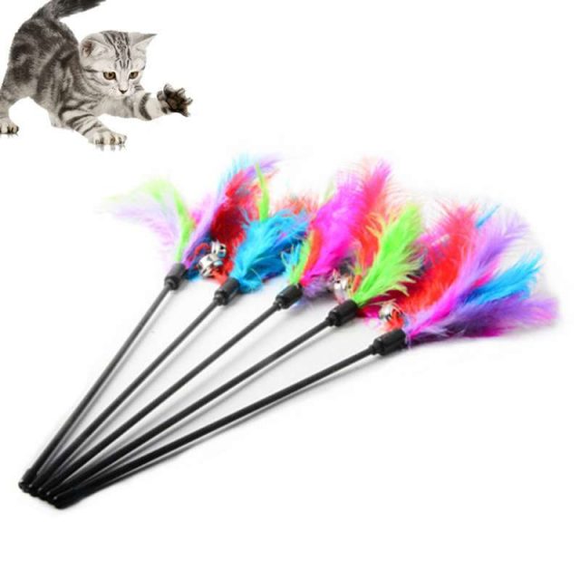 Cat Toy