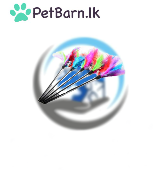 Cat Toy