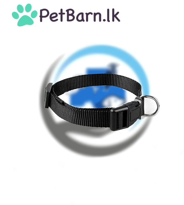 Dog Collar