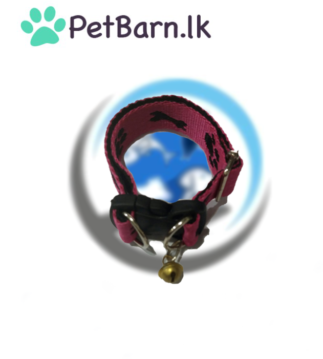 Dog Collar