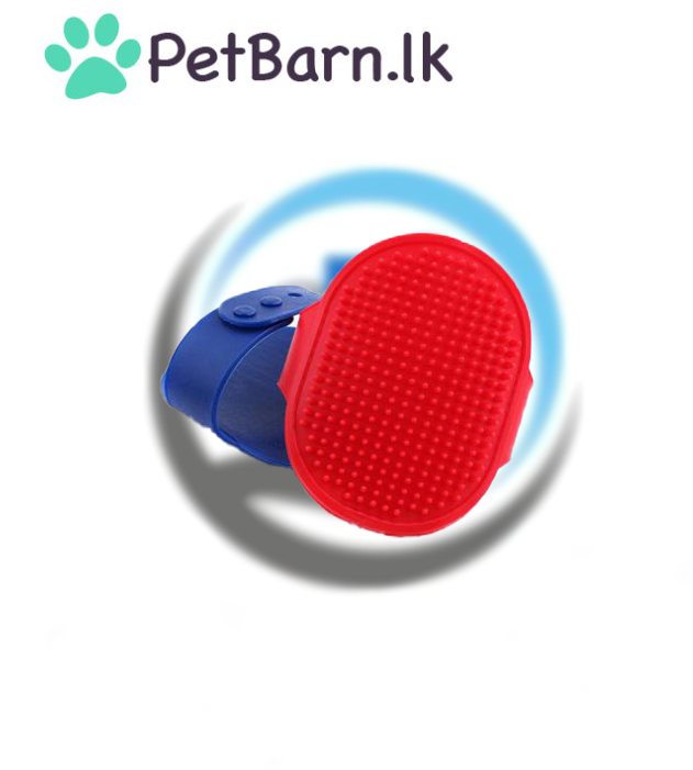 Oval Brush