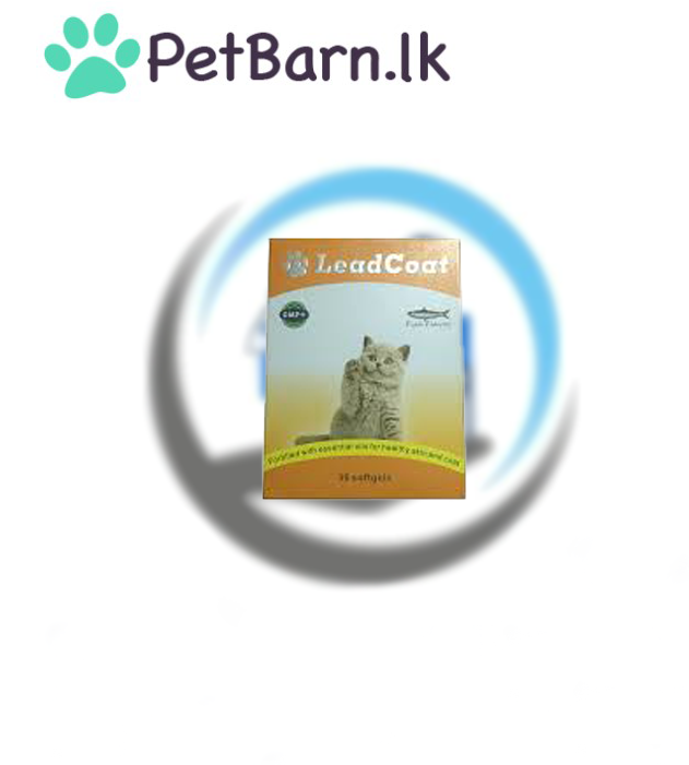 Lead Coat