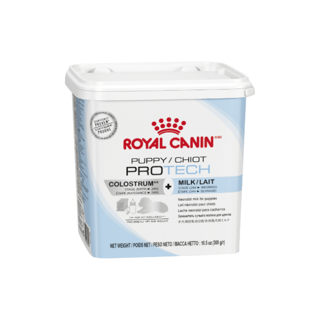 Royal Canin Puppy Protech Dog 300G