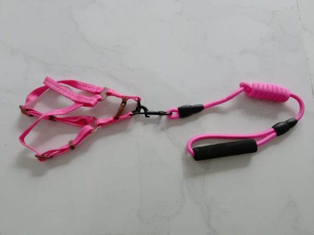 New Rope Harness ( M )