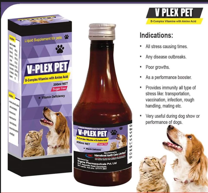 V PLEX PET B Complex Vitamins With Amino Acid 200ml Buy Online