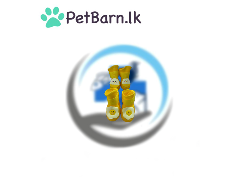 pet shoes yellow (M)